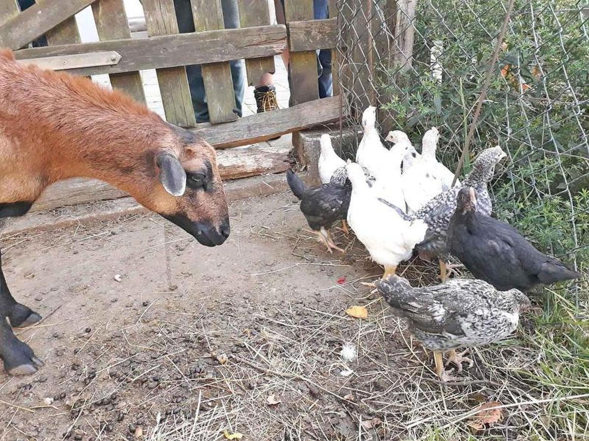 Ferienwohnungen Baust Im Muehlental Eslohe Esterno foto